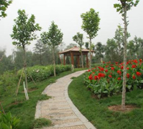 三海子郊野公園